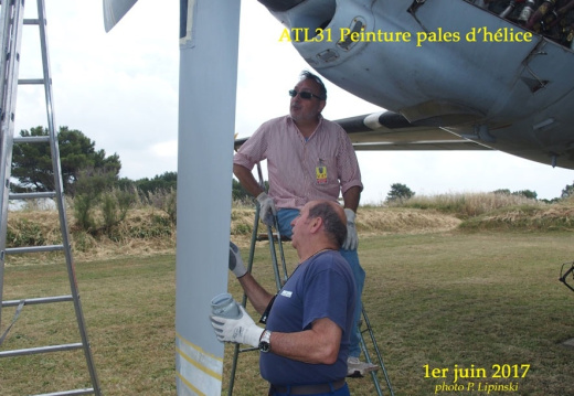 thumbs 2017 06 01 chan-pl atl31 1884 peinture pale d helice p. pavard jp diosca R 2